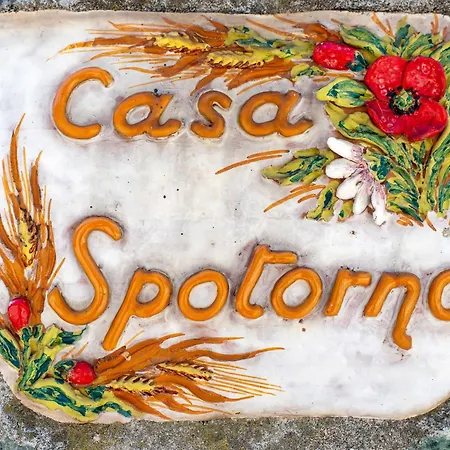 Due Passi Dal Mare Tra Gli Ulivi