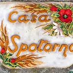 Due Passi Dal Mare Tra Gli Ulivi *