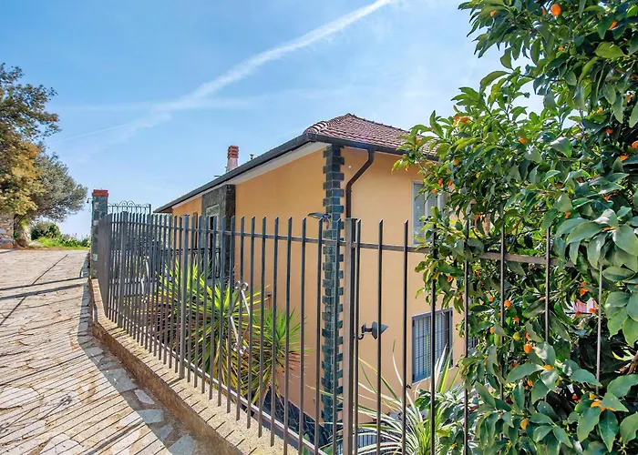 Appartamento Due Passi Dal Mare Tra Gli Ulivi